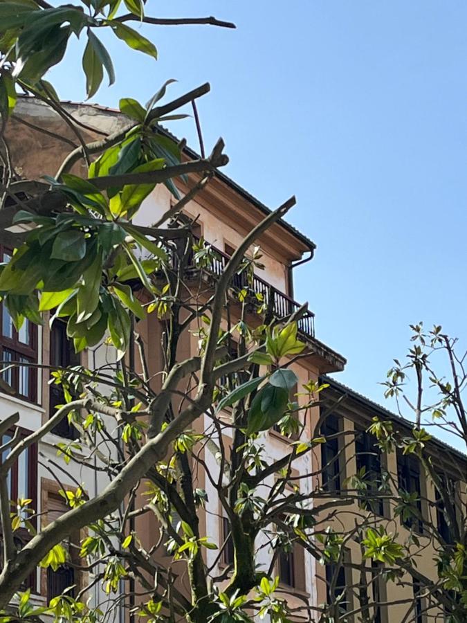 Apartamento Wamba - La Catedral Oviedo Exteriér fotografie